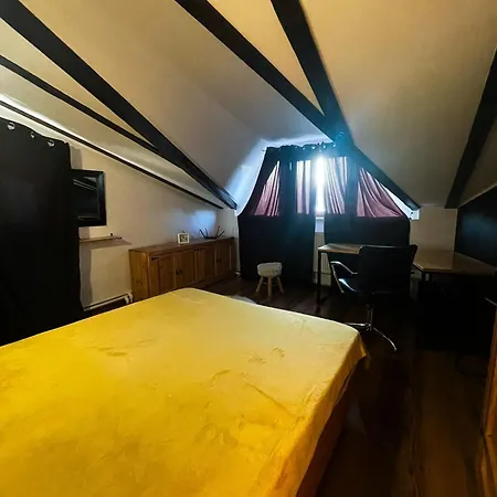 Casa Nova Κονστάντζα